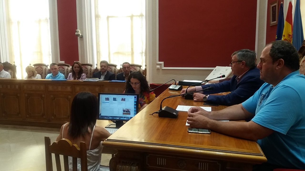pleno junio 1